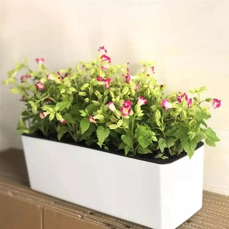 Vaso de flores retangular preg - Automatic Plant Waterer avaliação e preço