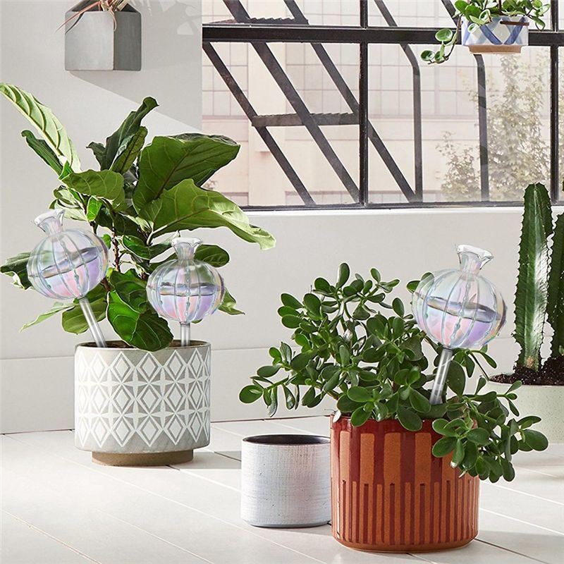 AA94 – Bolhas de rega para pla - Self-Watering Planter avaliação e preço